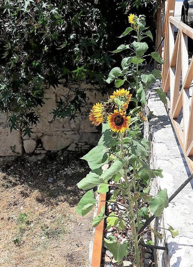 Stratos Hotel Pithagório Kültér fotó